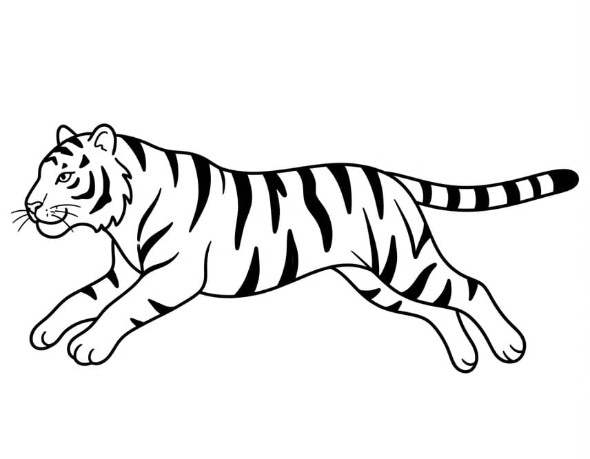 Coloriage Tigre Pour les Enfants de 6 An