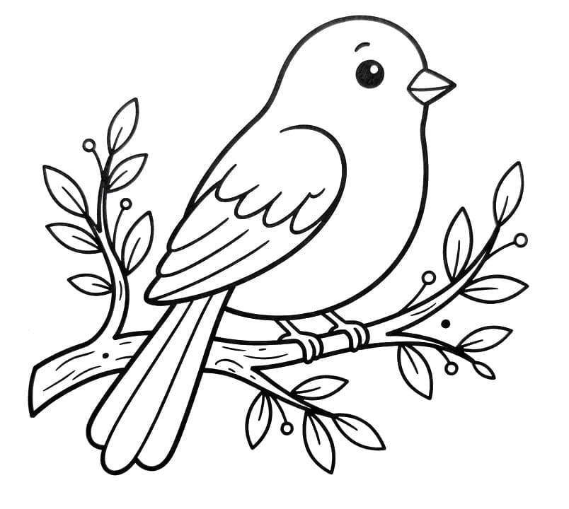 Coloriage Un oiseau ordinaire
