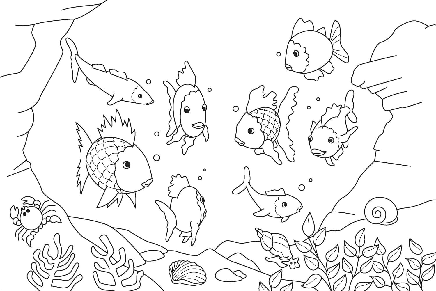 Beaux Poissons coloring page