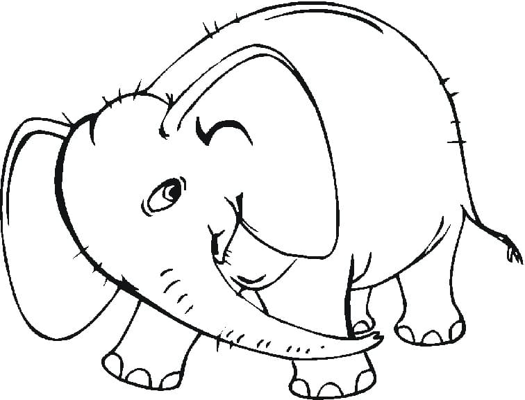 Bébé Éléphant Imprimable Gratuitement Pour Enfant coloring page