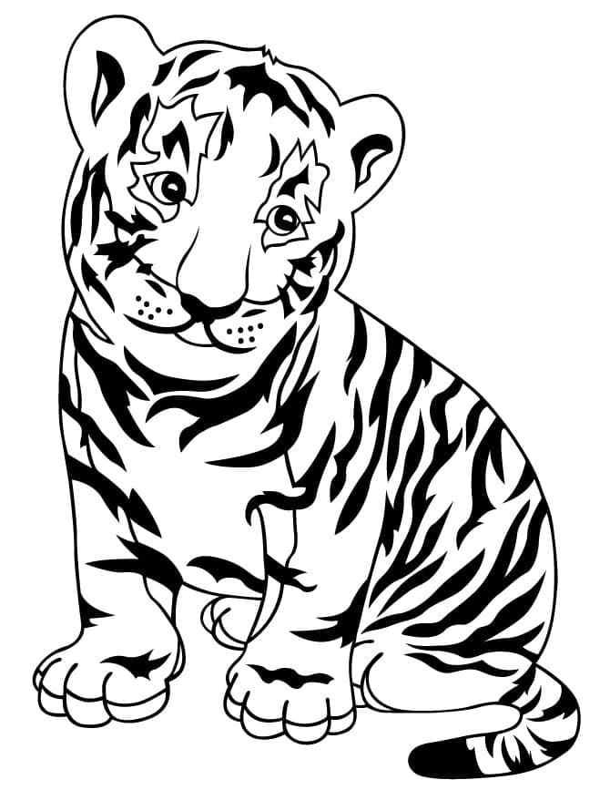 Coloriage Bébé Tigre