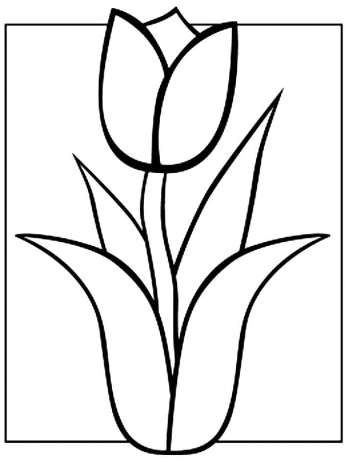 Belle Tulipe coloring page
