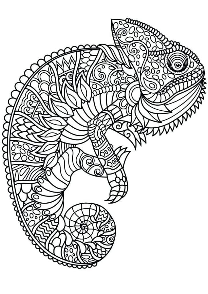 Coloriage Cam l on Mandala Animaux T l charger Et Imprimer Gratuit 