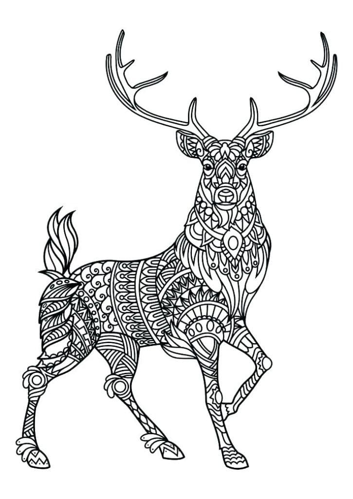 Cerf Mandala Animaux coloring page