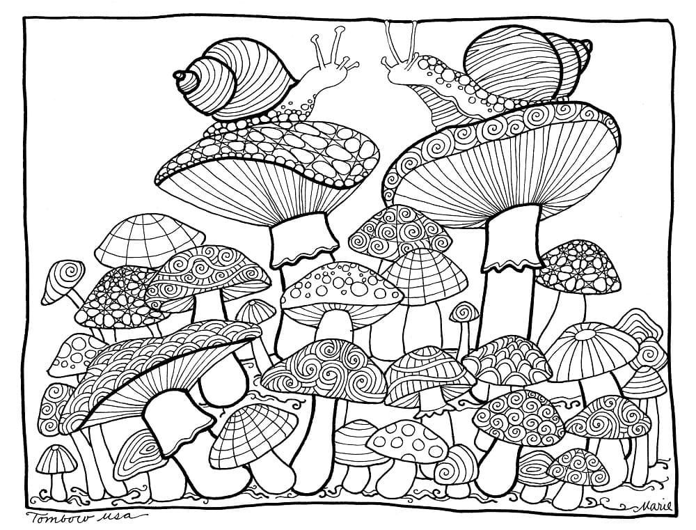 Champignons et Escargots Pour Adultes coloring page