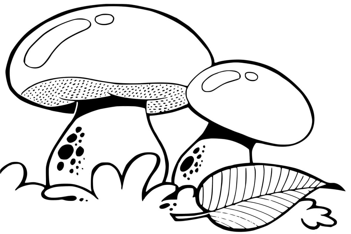 Champignons et une Feuille coloring page