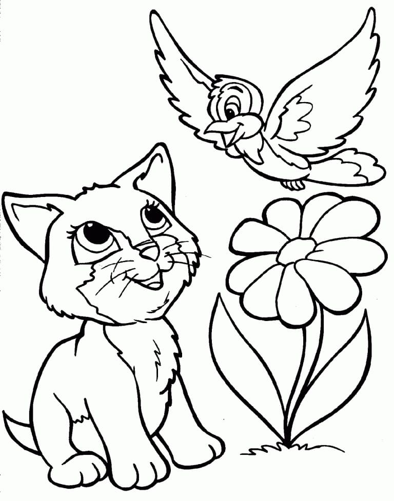 Chat et Oiseau coloring page