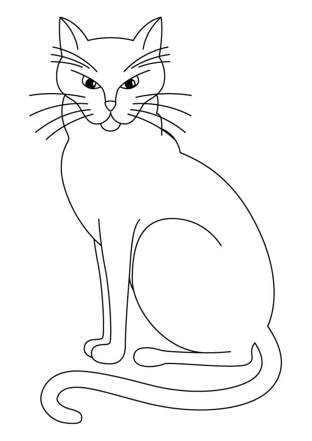 Chat Facile coloring page