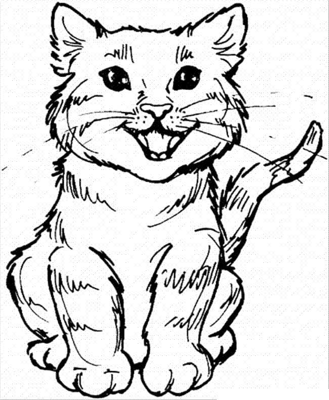 Chat Miaule coloring page