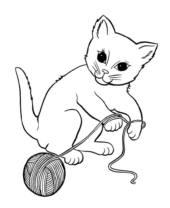 Chat Mignon coloring page