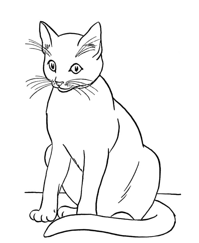 Chat Normal coloring page