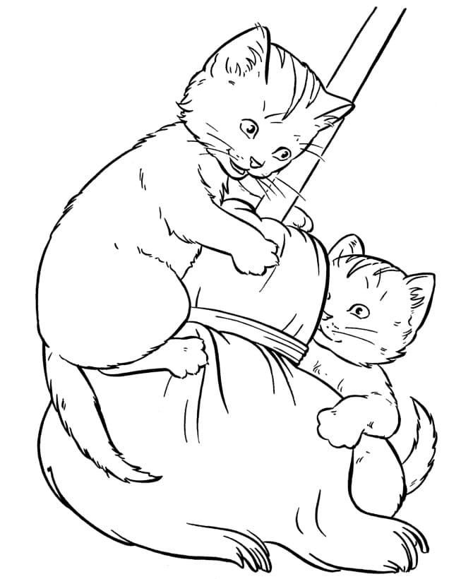 Chats Coquins coloring page