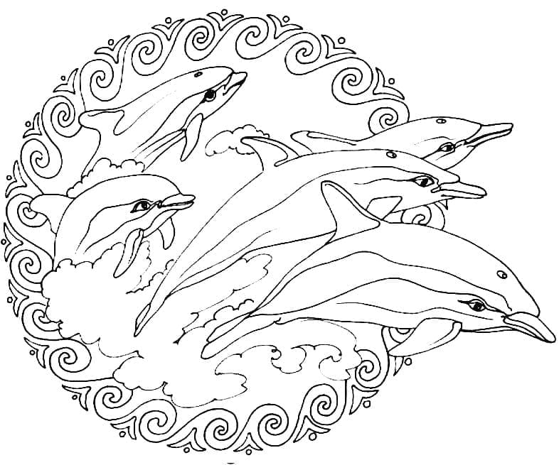 Dauphins Mandala Animaux coloring page