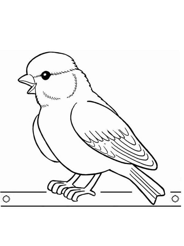 Dessin Gratuit de Oiseau coloring page