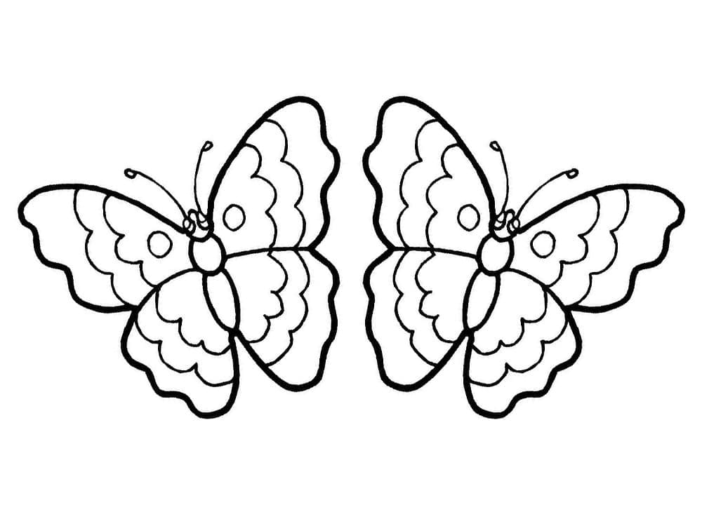 Coloriage Deux Papillons