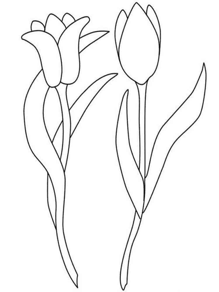 Coloriage Deux Tulipes