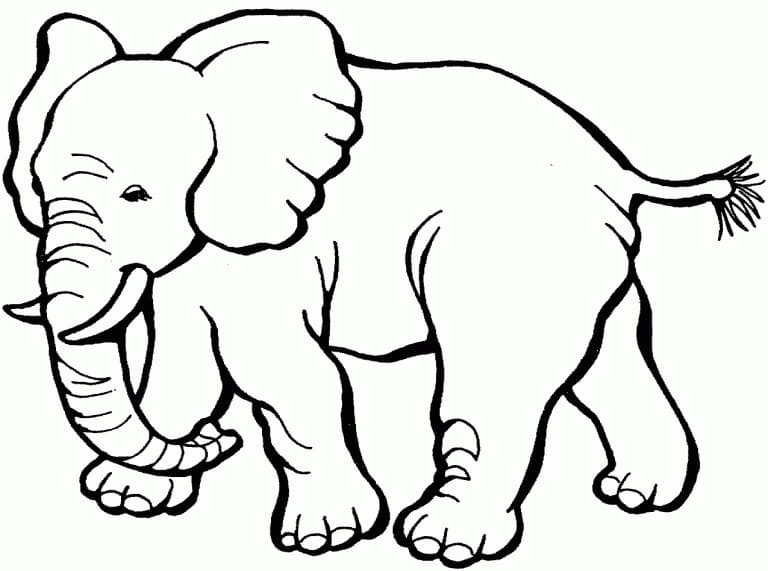 Éléphant 2 coloring page
