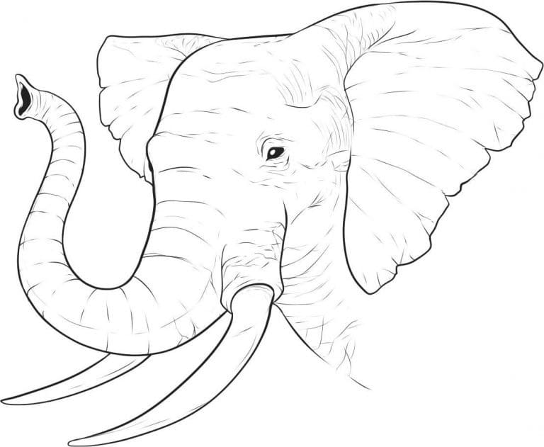 Éléphant 6 coloring page