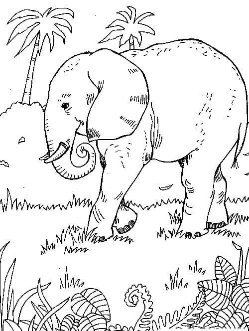Coloriage Éléphant Dans la Forêt