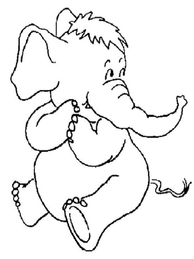 Éléphant Drôle coloring page