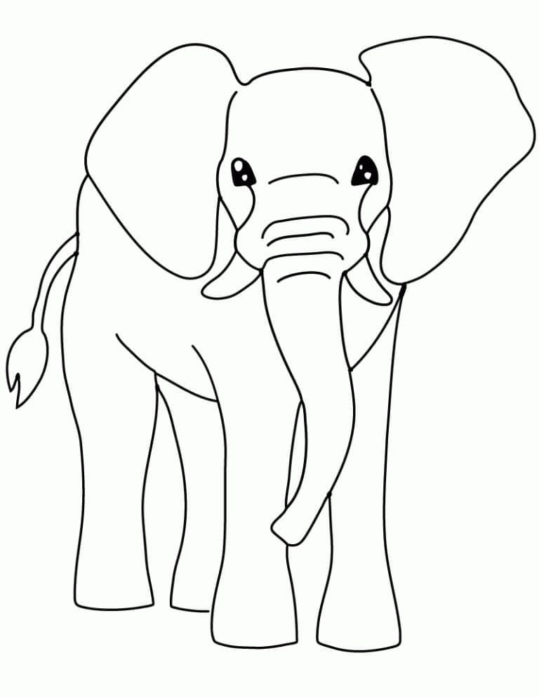 Coloriage Éléphant Gratuit