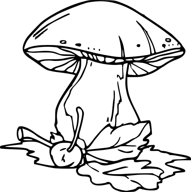 Gros Champignon coloring page