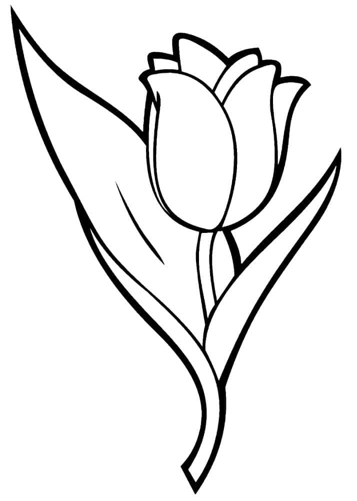 Coloriage Jolie Tulipe
