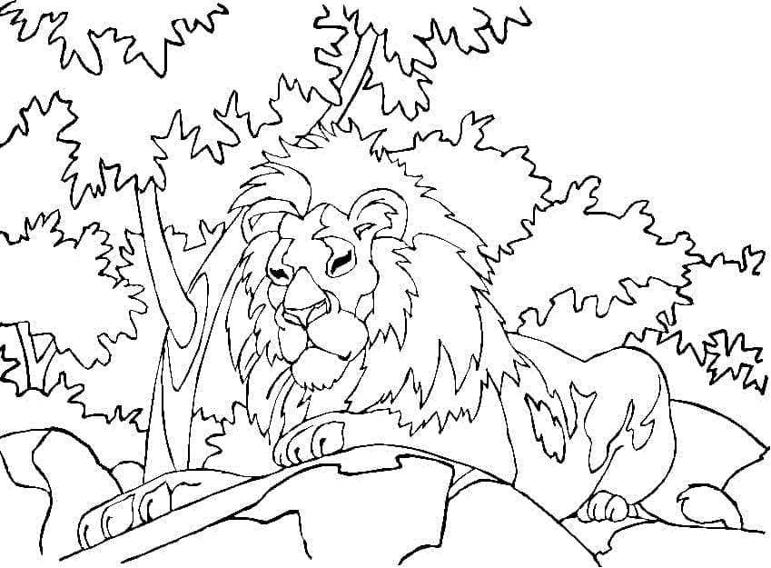 Coloriage Lion Dans la Forêt