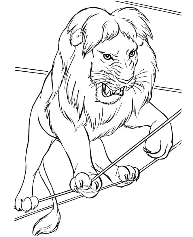 Lion Dans le Cirque coloring page