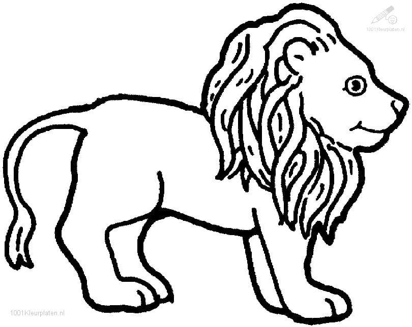 Coloriage Lion Doux