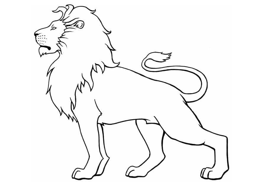 Lion Incroyable coloring page