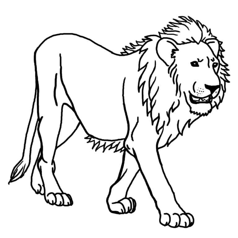 Lion Qui Marche coloring page