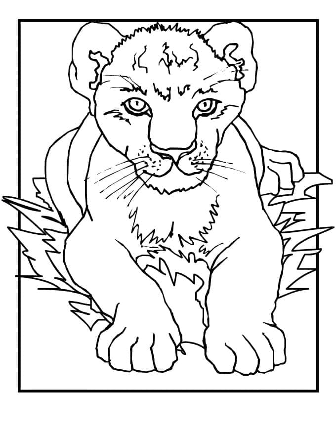 Lionceau coloring page