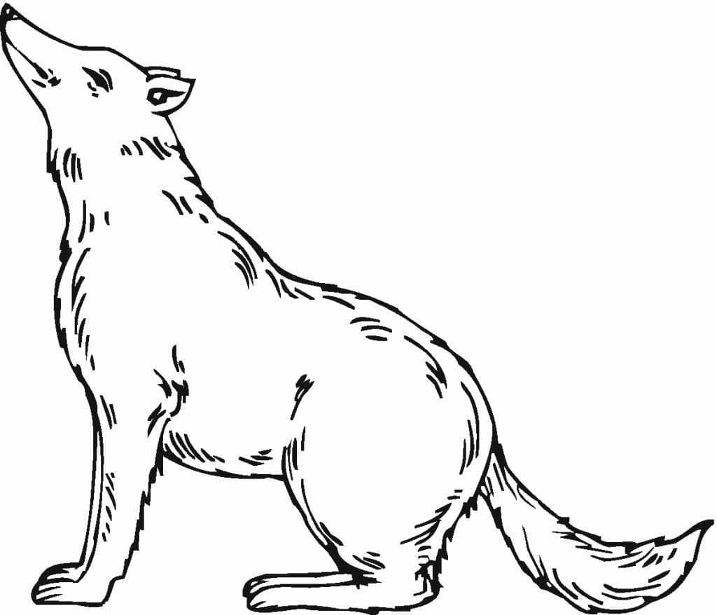 Loup Assis coloring page