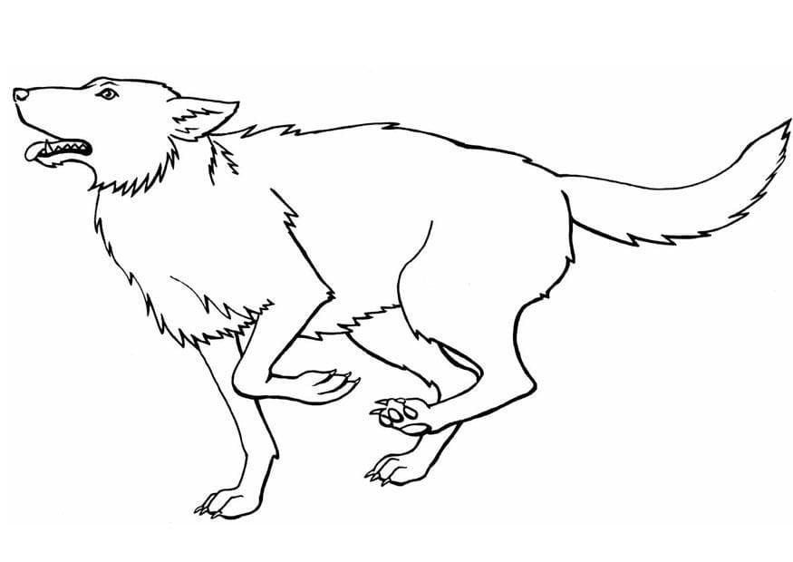 Loup Courant coloring page