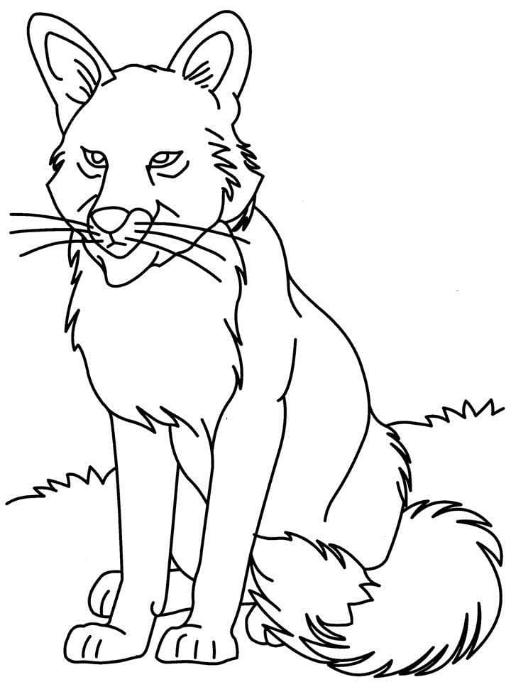 Loup Gris coloring page