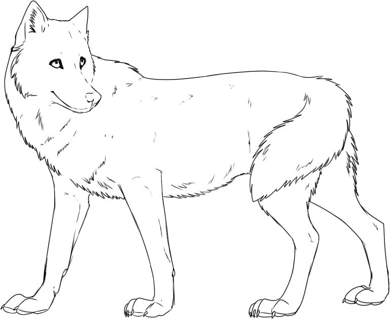 Loup Normal coloring page