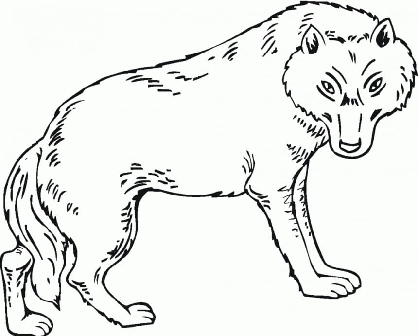 Méchant Loup coloring page