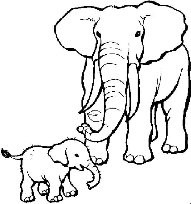 Coloriage Mère et Bébé Éléphant