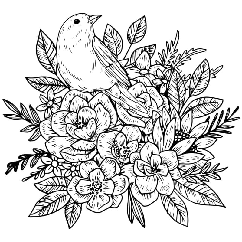 Oiseau et Fleurs coloring page