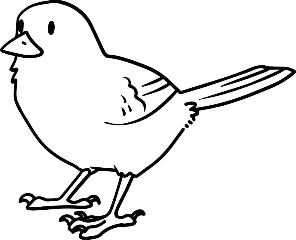 Oiseau Gratuit coloring page