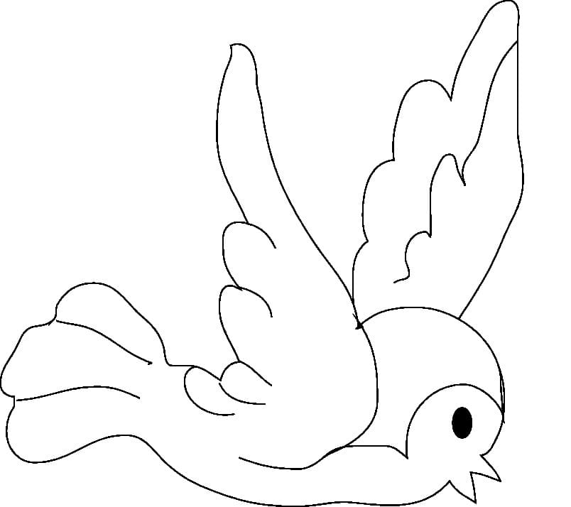 Coloriage Oiseau Simple