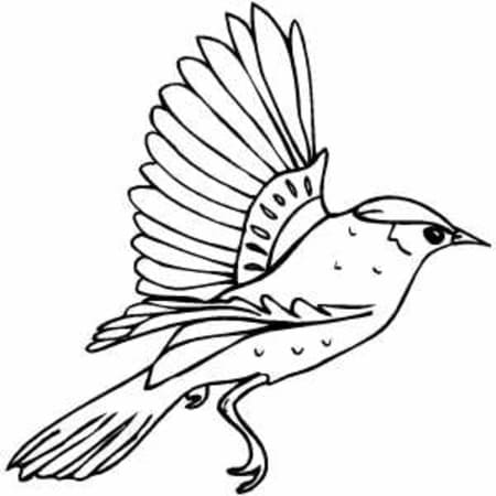 Oiseau Volant coloring page