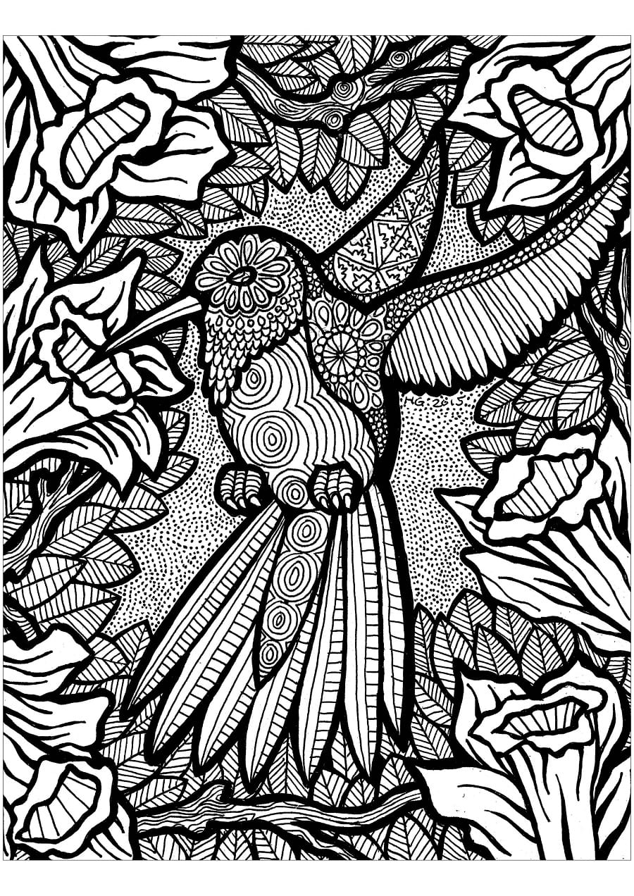 Oiseau Zentangle Pour Les Adultes coloring page