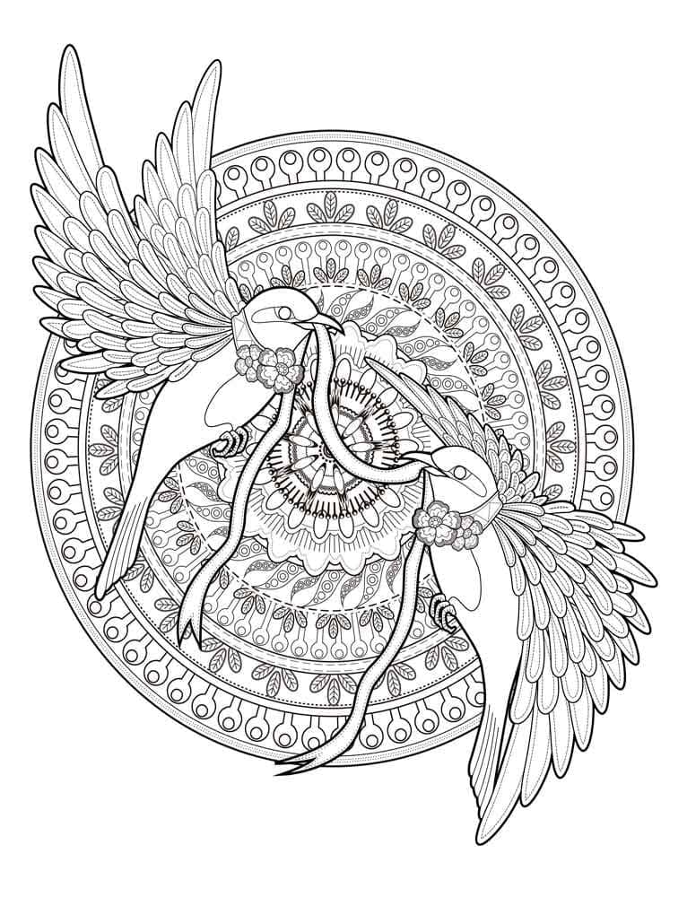 Oiseaux Mandala Animaux coloring page