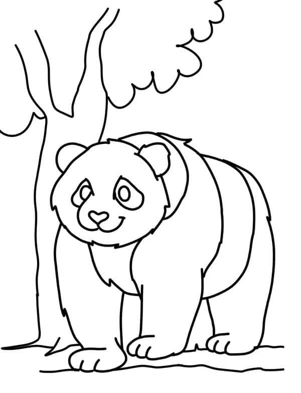 Panda Géant coloring page