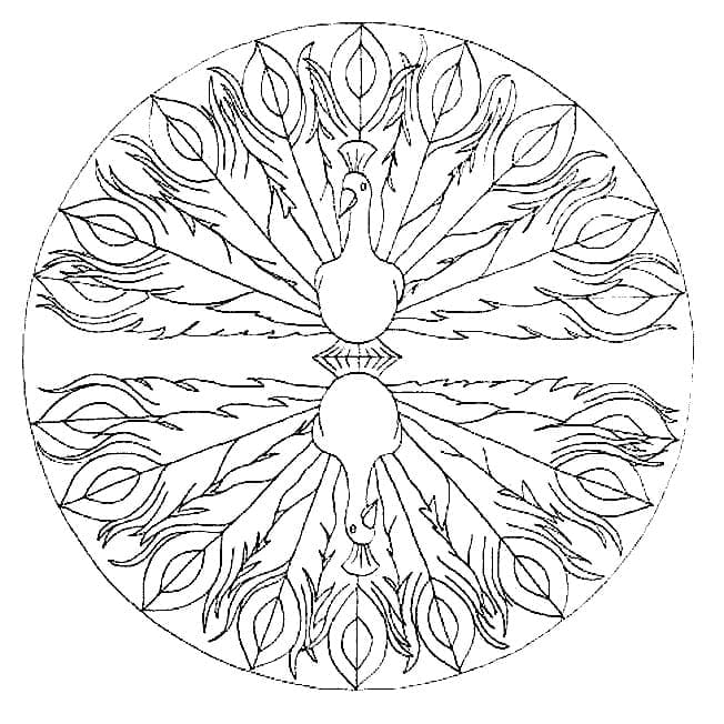 Coloriage Paon Mandala Animaux