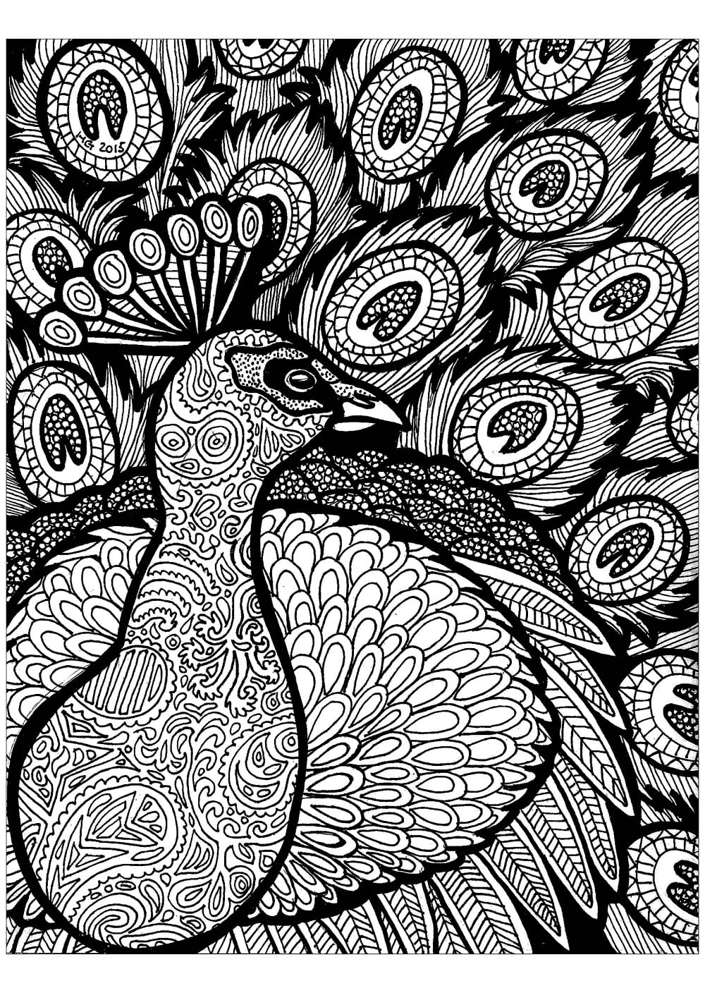 Paon Zentangle coloring page