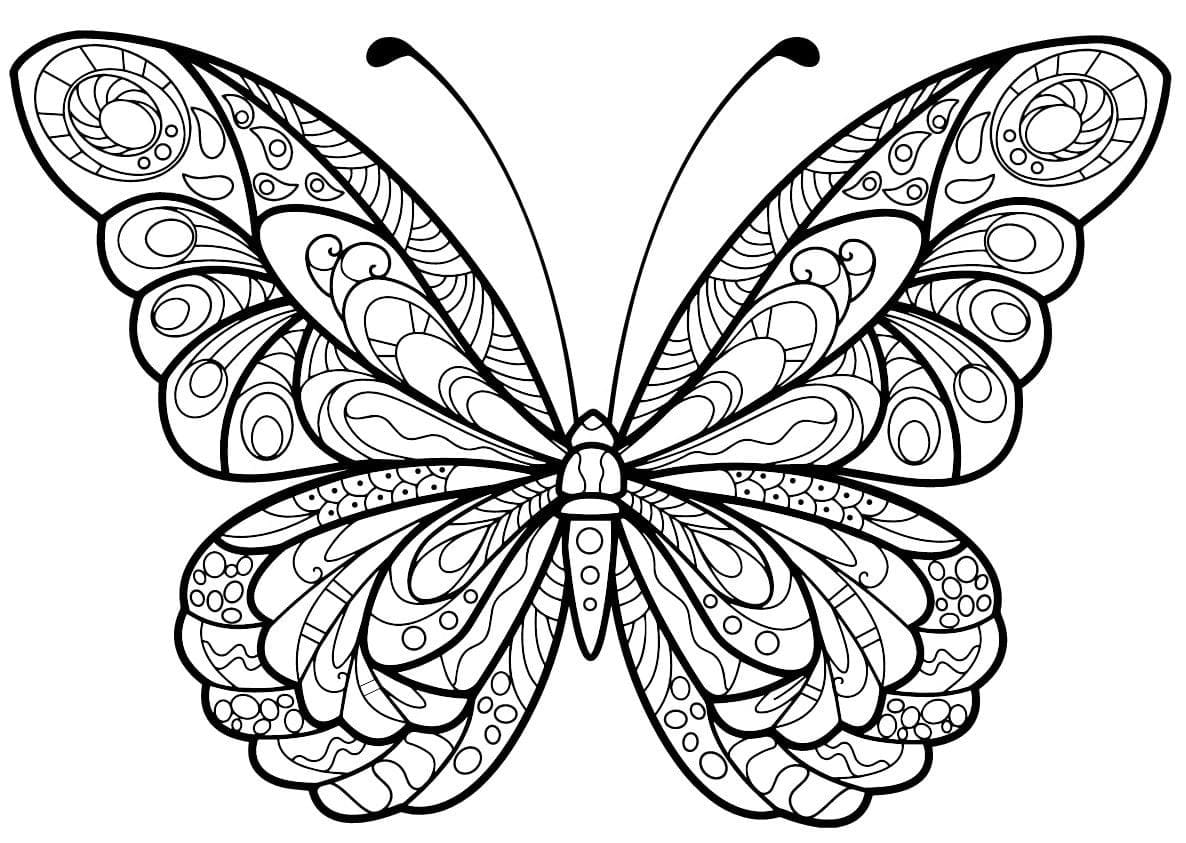 Coloriage Papillon Adulte (1)