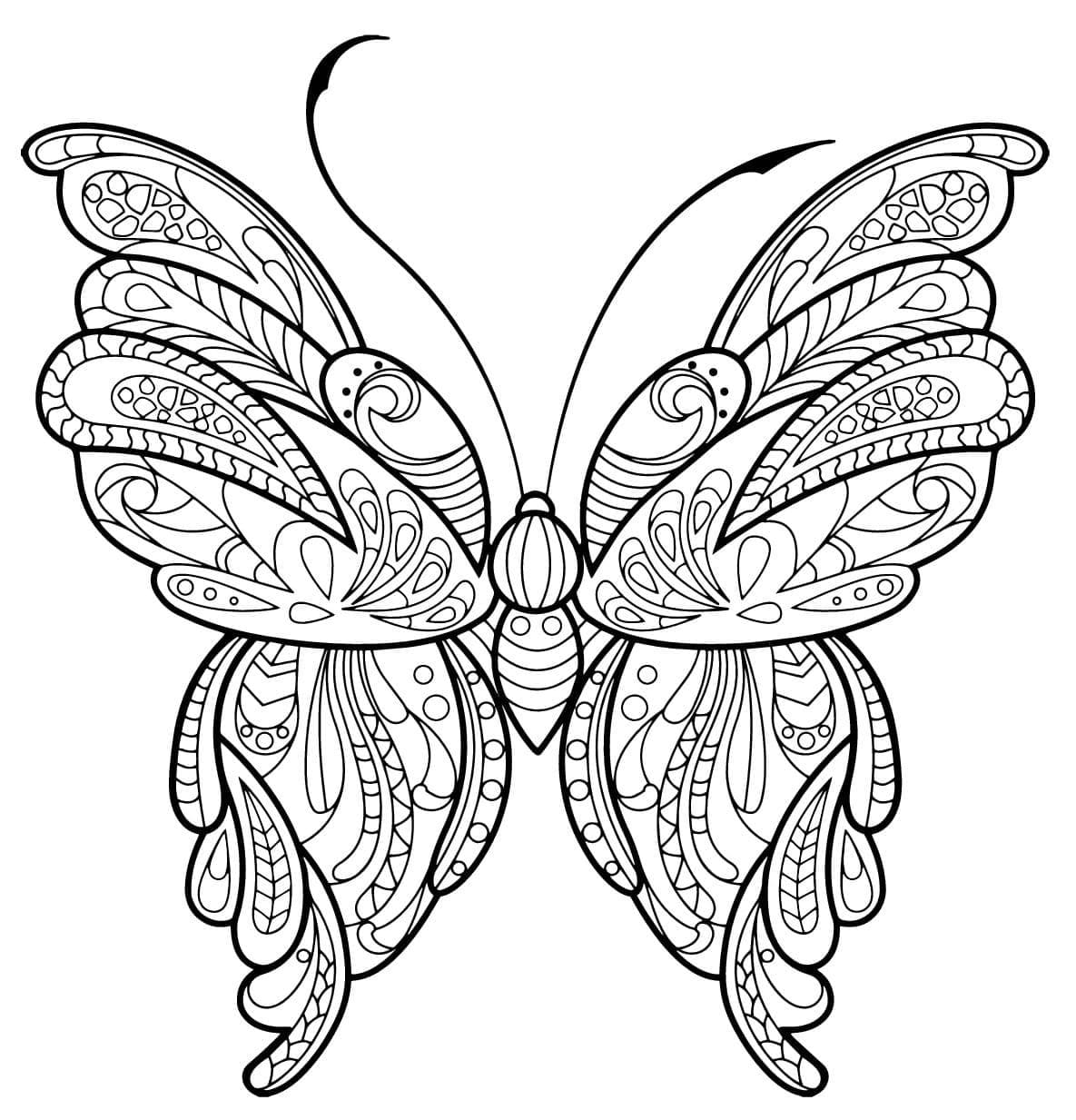 Papillon Adulte (11) coloring page